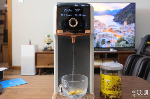台式净饮一体机选购指南 从火爆到理性，一文读懂如何挑选